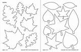 Leaf Printable Template Drawing Templates Shapes Coloring Pages Leaves Various Firstpalette Tree Different Autumn Kids Cutout Easy Printables Crafts Drawings sketch template