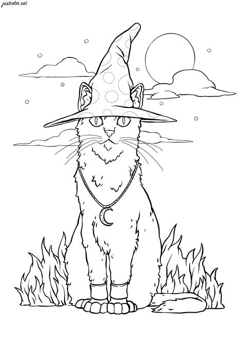 halloween witch cat halloween kids coloring pages