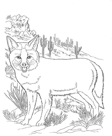 coloring pages desert animals