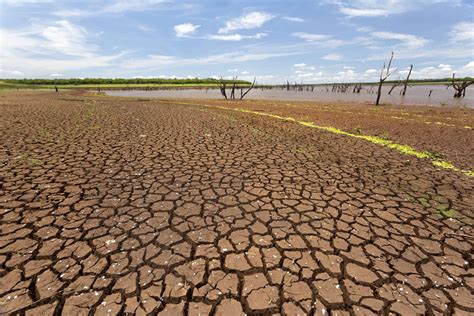 secretario nacional de defesa civil diz  seca severa  pantanal