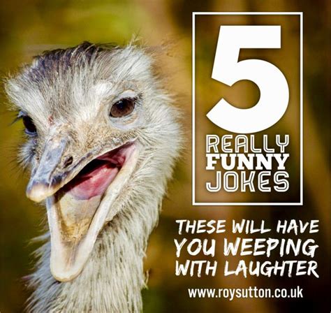 5 Really Funny Jokes That Will Have You Weeping With Laughter Roy