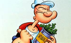 popeye s legendary love of spinach was actually due to a