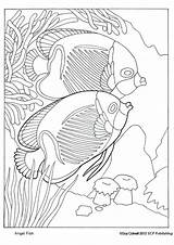 Coloring Pages Fish Angel Tablero Seleccionar Animal sketch template