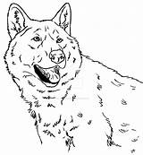 Coloring Wolfdog Wolf Dog Canis Simensis Iii 83kb 1024 Deviantart sketch template