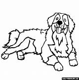 Bernese Pyrenees Hond Kleurplaten Honden Rysunek Bernersennen Kolorowanki Pasterski Zwierzęta Domowe Imprimir Puppy Tekeningen Hondenrassen Breeds Coloriage sketch template