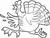 Turkey Coloring Pages Animals Feathers Kb Library Popular Thanksgiving sketch template