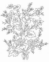 Forget Drawing Flowers Nots Flower Beautiful Coloring Getdrawings sketch template