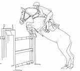 Lineart Horses Showjumping sketch template