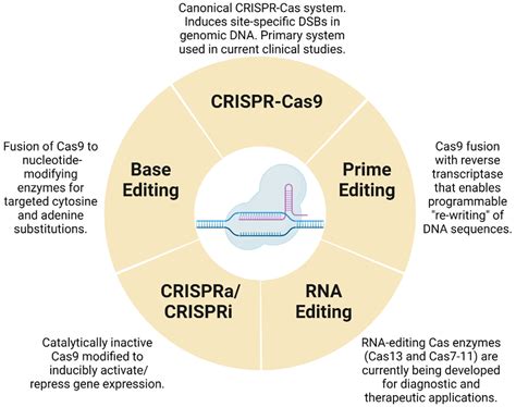 cells  full text crispr cas system  current  emerging translational landscape