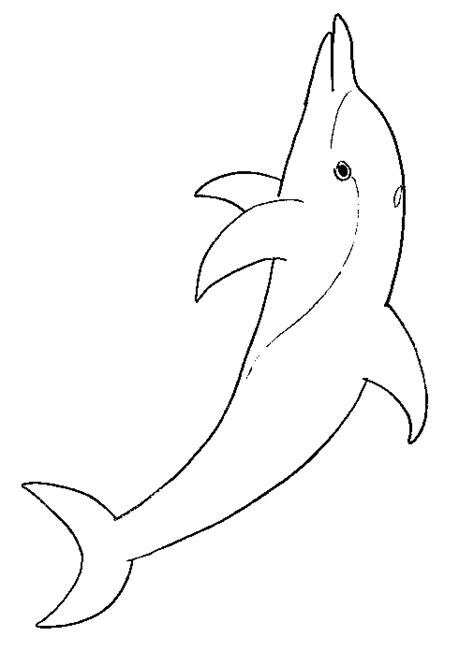 dolphin coloring pages coloring pages  print