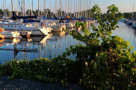 collins bay marina  photograph  jim vance fine art america