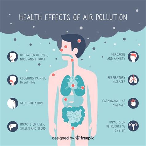 vector pollution  human body infographic infographic medical posters pollution
