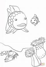 Fish Rainbow Coloring Small Pages Crawfish Drawing Color Printable sketch template