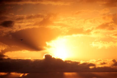 무료 이미지 수평선 구름 태양 해돋이 일몰 햇빛 새벽 분위기 황혼 적운 로맨스 Abendstimmung