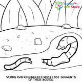 Coloring Pages Printable Nature Earthworms sketch template