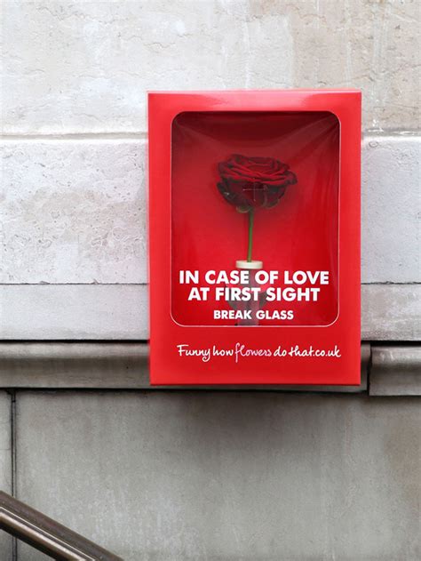 in case of love at first sight break glass naocrituss s