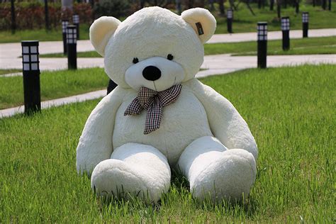 giant teddy bear  amazon creates  big stir  thousands  people