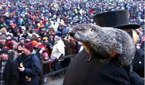 groundhog day statistics