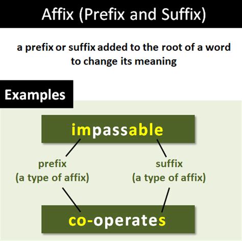affix explanation  examples