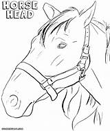 Horse Head Coloring Pages Colorings sketch template