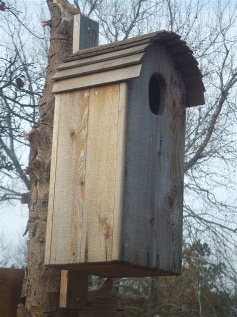 owl bird house special design  owls handmade  blackcathill  bird houses barn