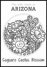 Arizona State Coloring Flower Classroom Pages Cactus Freebies Printables Crafts Grow Az History Activities Drawing Blossoms Kids Getcolorings sketch template