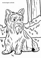 Terrier Malvorlage sketch template