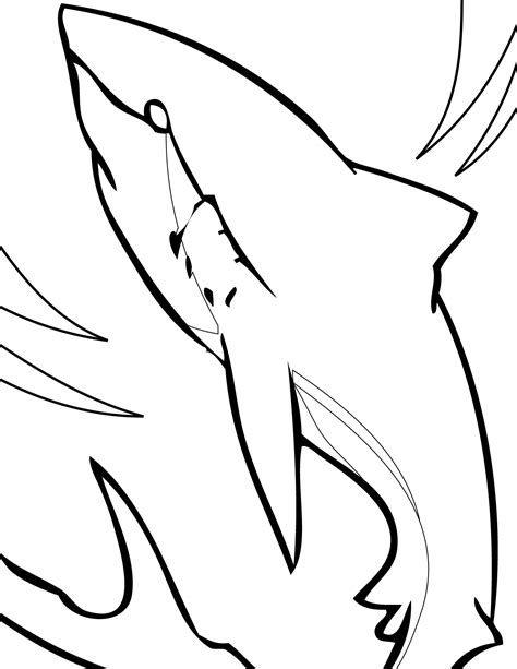 shark coloring pages  coloring kids coloring kids