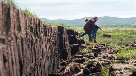 Everything You Need To Know About Peat In Whisky Whisky