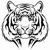 Tiger Tribal Tattoo Vector Eyes Stock Executed Form Clipartpanda Vectors Royalty Preview Illustration Depositphotos Clipart Dreamstime sketch template
