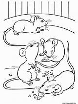 Coloring Mouse Pages Printable Print sketch template