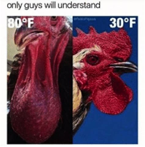 memes that only men will understand 29 pics