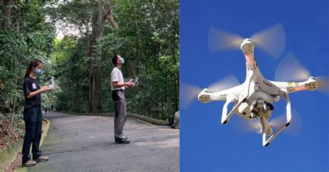 circuit breaker nparks deploy  drones  selected parks  monitor crowd levels mothership