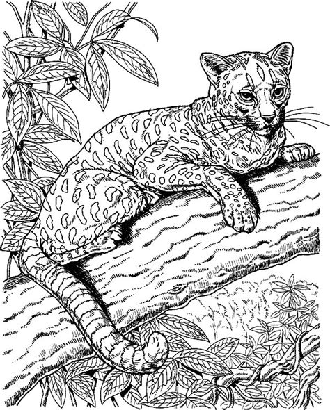 simple jaguar coloring pages simple cheetah face coloring pages