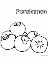 Coloring Persimmon Differ Given Several sketch template