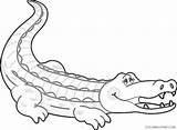 Alligator Coloring Baby Cute Coloring4free Related Posts sketch template