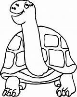 Coloring Turtle Tortoise Think Wecoloringpage sketch template