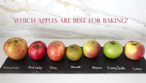 Best Apples For Baking Salt And Serenity