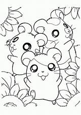 Coloring Kids Hamster Pages Popular Hamsters sketch template