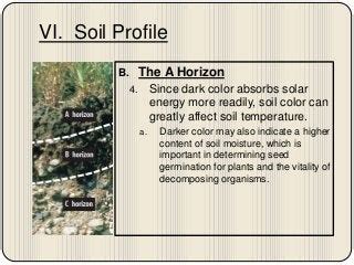 chapter  section  nature  soil