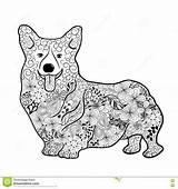 Corgi Dog Coloring Doodle Welsh Designlooter Illustration Preview sketch template