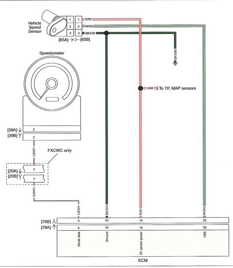 diagram toyota echo speed sensor wire connector diagram mydiagramonline