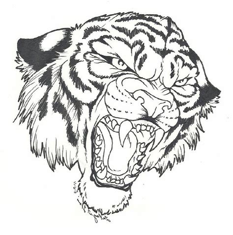 tiger coloring pages  kids  coloring