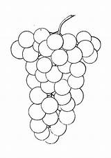 Grapes sketch template