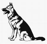 German Shepherd Vector Drawing Dog Sitting Clipart Graphics Illustration Germany Breed Shirt Symbol Sign Set Show Pngitem Dreamstime Getdrawings Clipground sketch template