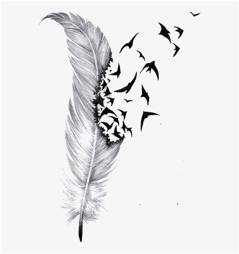 Share More Than 80 Feather Tattoo Sketches In Eteachers