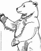Coloring Pages Wild Bear Standing Animal Drawing Animals Large Kids Getdrawings Gif Honkingdonkey sketch template