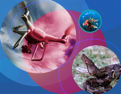 invasive species hunting drones asme