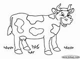 Vaca Manchas Bauernhof Fattoria Animali Thema Domésticos Kuh sketch template
