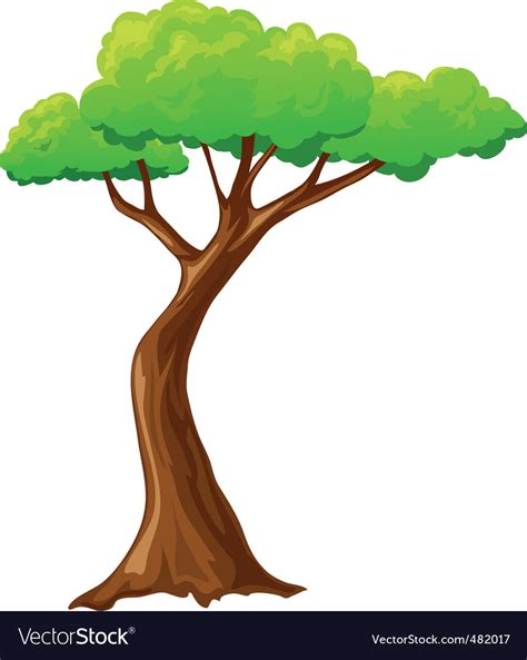 vector cartoon tree  vector  clipart ideas